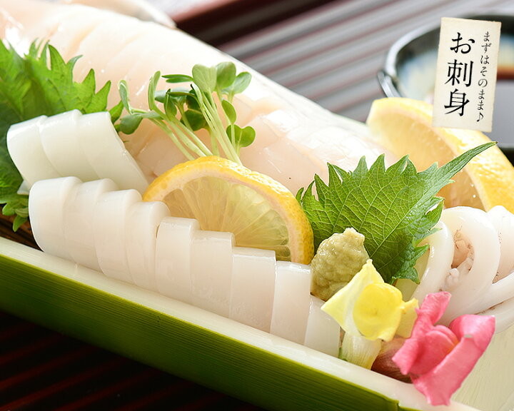 楽天市場 エントリー 買い回りで最大p10倍 するめいか 3杯 約850g前後 日本海産 スルメイカ お試し いか 冷凍 イカ スルメ するめいか 刺身 冷凍イカ 刺し身 お取り寄せ 魚介 国産 海鮮 グルメ 港ダイニングしおそう