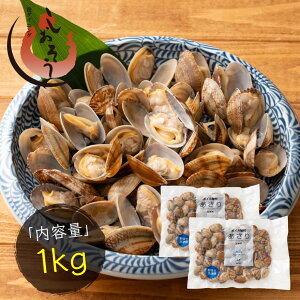 kt AT  {Cς  1kgi500g×2Pj ⓀHi L  | o` `  pX^ o^[Ă Mtg O