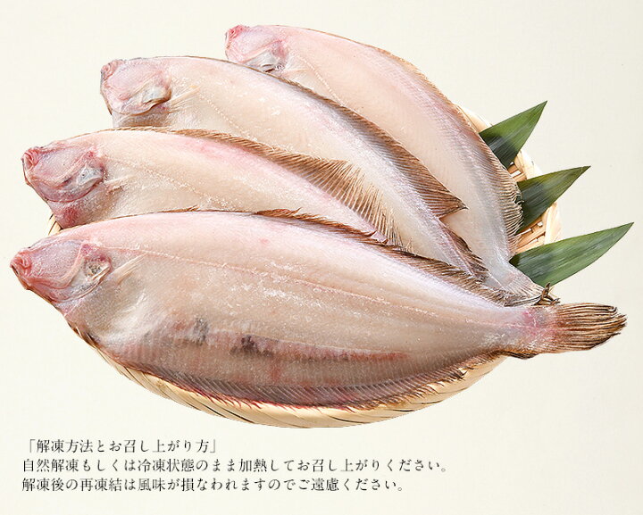 楽天市場 エントリーでp5倍 笹カレイ かれい カレイ 干物 浜田 約250 300g 4尾 特大サイズ 約30 35cm前後 島根県産 港ダイニングしおそう