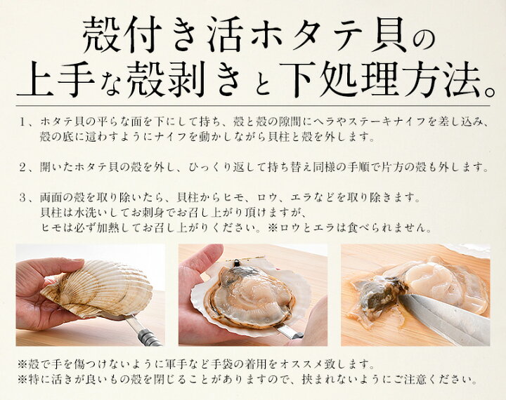 大好き 活ホタテ 特大 30個 約6kg 殻付き 3年貝 ホタテ 0g 250g 30個 生 帆立 刺身 生食用 バーベキュー q 漁師直送 北海道 送料無料 Materialworldblog Com