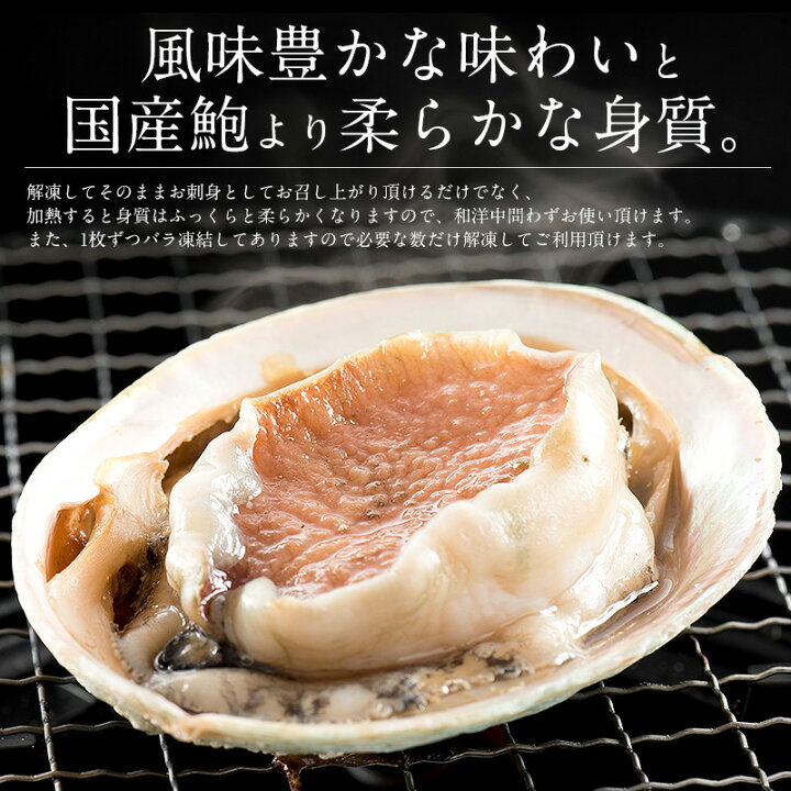 楽天市場 あわび 殻付き 冷凍 1kg 約8 9粒入り アワビ 鮑 翡翠の瞳 刺し身 高級グルメ 刺身用 料亭 お取り寄せグルメ 海鮮 美味しい 高級 魚介類 海産物 プレゼント 贈り物 贈答用 送料無料 港ダイニングしおそう