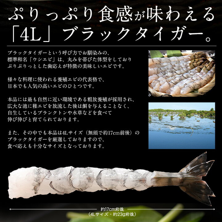 楽天市場 ブラックタイガー 4l 230g 10尾入り 尾付き剥きエビ 海老 えび エビ 港ダイニングしおそう