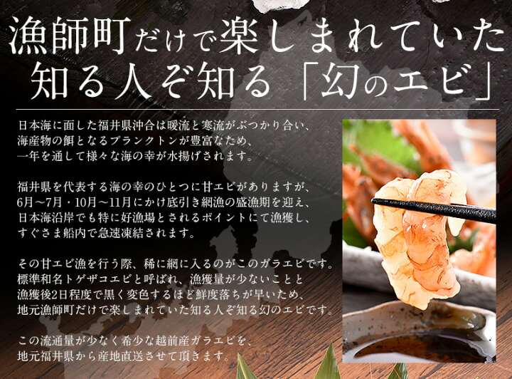 楽天市場 越前産 がらえび 500g 約35尾入り ガラエビ 送料無料 えび 冷凍 エビ 冷凍えび 美味しい 冷凍エビ 甘い 冷凍海老 産地直送 国産 福井県 お刺身 お徳用 贈り物 ギフト ごちそう 贈答 御中元 お中元 港ダイニングしおそう