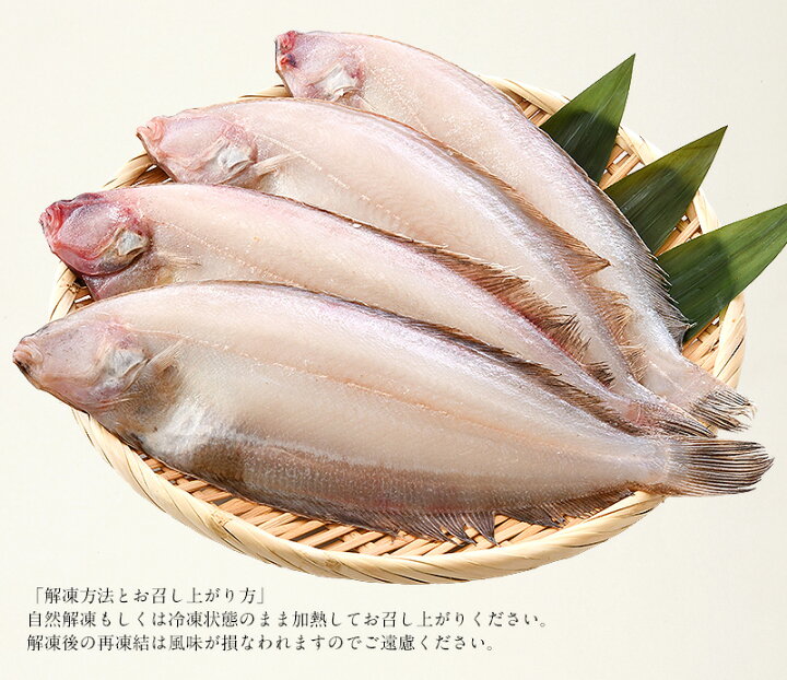 楽天市場 笹カレイ かれい カレイ 干物 浜田 約150 0g 4尾 大サイズ 約25 28cm前後 島根県産 港ダイニングしおそう