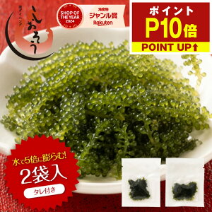 y25IGg[P19{IzCԂǂ 5{ɖc Y F 2H(^tj  1000~ |bL CuhE Ђ C Zp  蕨 ܂ Mtg lR