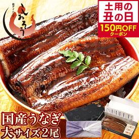 【土用の丑の日 早い者勝ち150円OFFクーポン】お中元 うなぎ 国産 鰻 ウナギ 蒲焼き 蒲焼 鰻の蒲焼 大サイズ 165g前後×2尾 肝吸い 国産鰻 うなぎ蒲焼き うなぎの蒲焼 国産うなぎ 鰻蒲焼 うなぎ蒲焼 ウナギ蒲焼 ギフト プレゼント