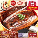 【土用の丑の日 まだ間に合う！早い者勝ち150円OFFクーポン】お中元 うなぎ 国産 鰻 ウナギ 蒲焼き 蒲焼 鰻の蒲焼 大…