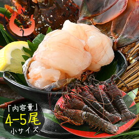 伊勢海老 千葉県産 外房イセエビ 小サイズ×4〜5尾 刺身 冷凍 伊勢エビ 伊勢えび えび エビ 海鮮 魚介 プリプリ 濃厚 グルメ 贈り物 ［送料無料］ プレゼント ギフト 健康 子供 ギフト ギフト プレゼント