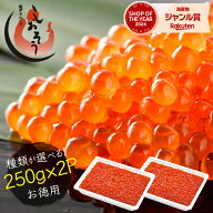 イクラ イクラ醤油漬け 種類が選べる いくら 250g 500g 紅鮭いくら 北欧いくら 醤油漬け 北欧サーモン サ…