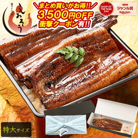 【父の日 まだ間に合う！】【まとめ買いで最大3,500円OFFクーポン！】 鰻 うなぎ ウナギ 蒲焼き 肝吸い 国産 うなぎ蒲焼き 特大サイズ 鰻の蒲焼 約200g×1尾 鰻蒲焼 うなぎの蒲焼 蒲焼 国産うなぎ カット ランキング ギフト プレゼント 父の日