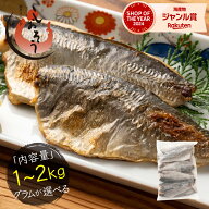 【無添加・無塩 骨取り済み！】 希少な国産 鯵 アジ あじ グラムが選べる 約1kg(12〜13枚）約2kg(24〜26…