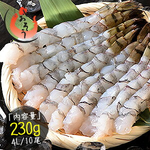 yԌGg[P10{IzubN^CK[ 4L 230gi10j t Gr ނGr CV  Gr ނ 蕨 LGr CN 񂹃O  v[g Mtg 