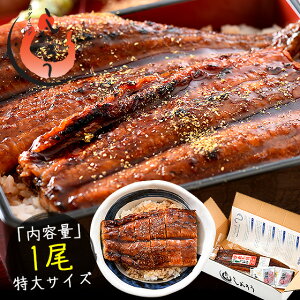 最安値に挑戦!更にまとめ買いクーポンでお得! 土用の丑の日 お中元 ギフト グルメ プレゼント うなぎ 蒲焼き 無頭 鹿児島県産 国産 特大サイズ 約200g×1尾 ウナギ 鰻 2尾以上のご注文でギフト用化粧箱配送[送料無料]