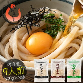 うどん 讃岐うどん 900g（9人前）300g×3袋 メーカー直送 ウドン 讃岐 さぬきうどん 香川 生めん 生麺 生うどん うどんセット お試し P消化 ポッキリ フード おすすめ グルメ 食品 おつまみ 普通 極太 平切り 父の日