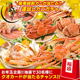 【越前ガニが当たる！早い者勝ち1,000円OFFクーポン付き！】 カニガチャ カニ福袋 運試し福袋 かに カニ 蟹 福袋 ずわいがに ズワイ蟹 ズワイ ズワイガニ カニポーション 蟹ポーション 毛蟹 毛ガニ ボイル 越前蟹 カニ鍋 運試し 新年 年末 年末年始 お年玉