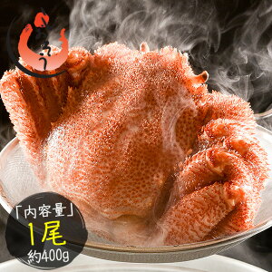 y11/1IWGg[Pő31{IzуKj 400gO×1 ъI т O pmn {C kCY   I CN Jj 䥂ŊI kCO 񂹃O kC 