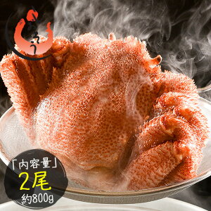 уKj 400gO×2  ъI т O {CуKj I {CI Jj {C Ⓚ kC {CJj  p kCY  CN 蕨 mn v[g Mtg N q