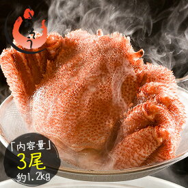 毛ガニ 400g前後×3尾 毛蟹 毛がに かに カニ 北海道 海鮮 蟹 ボイルカニ 北海道産 グルメ 贈り物 北海道グルメ 誕生日 記念日 [送料無料］ かに カニ 蟹 姿 健康 子供 ギフト ギフト プレゼント お歳暮