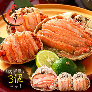【25日限定!WエントリーでP19倍!】冬の味覚 甲羅盛りセット極 越前産ズワイガニ 中サイズ×1個(甲羅横幅 約11cm)セイコガニ 小サイズ 70g前後×2個(甲羅横幅 約7.5cm) プレゼント ギフト 健