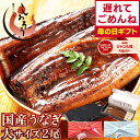 【母の日 遅れてごめんね】 うなぎ 国産 鰻 ウナギ 蒲焼き 蒲焼 鰻の蒲焼 大サイズ 165g前後×2尾 肝吸い 国産鰻 うな…