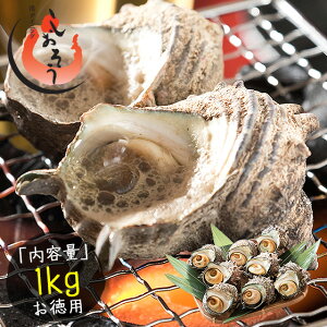 yő300PobNIzysz TUG  TCY 1kg VR i1110gȏ/7?8j h 傫 TUG Y  䌧Y L  䌧 O 蕨 N q Mtg v