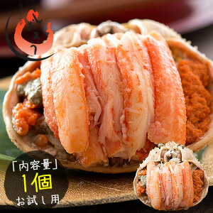 y11/30̓Gg[P10{IzZCRKj b TCY 70gO×1ib 7.5cmjzOt   I 킢Kj Jjb YCKj Ib YCI CN 