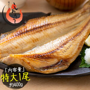 y12/1IGg[ōőP31{IzȃzbP  銱 400×1 TCY  Ȃق 30cmO v[g Mtg N q Mtg Mtg v[g Ε