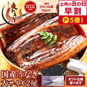 【土用の丑の日 店長暴走の早割P5倍！7/11 9:59まで！】お中元 うなぎ 国産 鰻 ウナギ 蒲焼き 蒲焼 鰻の蒲焼 大サイズ…