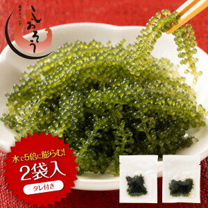 CԂǂ 5{ɖc Y F 2H(^tj  1000~ |bL CuhE Ђ C Zp  蕨 ܂ Mtg lR|X