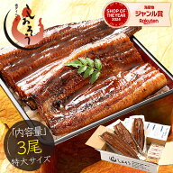 鰻 ウナギ うなぎ 蒲焼き 無頭 国産 特大サイズ 約200g×3尾 国産鰻 グルメ 国産ウナギ うなぎの蒲焼 蒲…