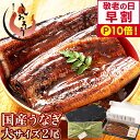 【期間限定P10倍！ 早い者勝ち200円OFFクーポン！】お中元 敬老の日 うなぎ 国産 鰻 ウナギ 蒲焼き 蒲焼 鰻の蒲焼 大…