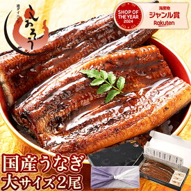 うなぎ 国産 鰻 ウナギ 蒲焼き 蒲焼 鰻の蒲焼 大サイズ 165g前後×2尾 肝吸い 国産鰻 うなぎ蒲焼き うなぎの蒲焼 国産うなぎ 鰻蒲焼 うなぎ蒲焼 ウナギ蒲焼 ギフト プレゼント お歳暮