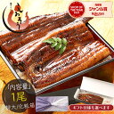 お中元 敬老の日 まとめ買いで最大3,500円OFF！ 鰻 うなぎ ウナギ 蒲焼き 肝吸い 国産 うなぎ蒲焼き 特大サイズ 鰻の蒲焼 約200g×1尾 鰻蒲焼 うなぎの蒲焼 蒲焼 国産うなぎ カット ランキング ギフト プレゼント
