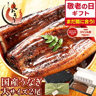 【敬老の日 まだ間に合う！】 うなぎ 国産 鰻 ウナギ 蒲焼き 蒲焼 鰻の蒲焼 大サイズ 165g前後×2尾 肝吸…