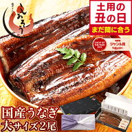 【土用の丑の日 まだ間に合う！】 うなぎ 国産 鰻 ウナギ 蒲焼き 蒲焼 鰻の蒲焼 大サイズ 165g前後×2尾 …