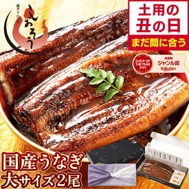 【土用の丑の日 まだ間に合う！】 うなぎ 国産 鰻 ウナギ 蒲焼き 蒲焼 鰻の蒲焼 大サイズ 165g前後×2尾 肝吸い 国産鰻 うなぎ蒲焼き うなぎの蒲焼 国産うなぎ 鰻蒲焼 うなぎ蒲焼 ウナギ蒲焼 unagi ギフト プレゼント ギフトセット 丑の日 お中元 御中元