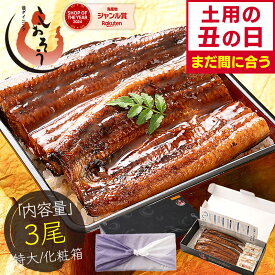 【土用の丑の日 まだ間に合う！】 鰻 うなぎ 蒲焼き 国産鰻 国産 特大サイズ 約200g×3尾 ウナギ 国産ウナギ グルメ うなぎの蒲焼 鰻の蒲焼 美味しい うなぎ蒲焼 国産うなぎ 国産うなぎ蒲焼 ギフト プレゼント ギフトセット 丑の日 お中元 御中元