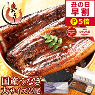 【土用の丑の日 早割P5倍！】 うなぎ 国産 鰻 ウナギ 蒲焼き 蒲焼 鰻の蒲焼 大サイズ 165g前後×2尾 肝吸…