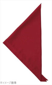 三角巾 JY4672－2 エンジ フリー