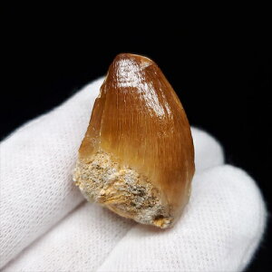 yzyTTEX///z TTEX   { bRY 30.30mm v[g Mtg mo728