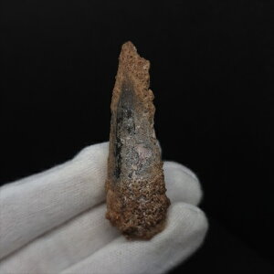 yzyXsmTEX///zXsmTEX { bRY 55.44mm v[g Mtg sp498