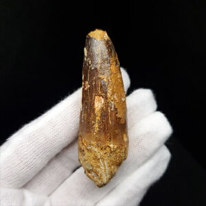 yzyXsmTEX///zXsmTEX { bRY 60.13mm v[g Mtg sp466