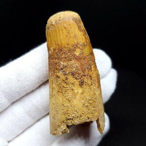 yzyXsmTEX///zXsmTEX { bRY 57.5×mm v[g Mtg sp173