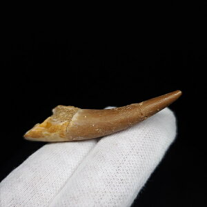 yzyvVITEX///z vVITEX   { bRY 48.53mm P[Xt v[g Mtg pr125