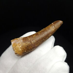 yzyvVITEX///z vVITEX   { bRY 50.29mm P[Xt v[g Mtg pr143