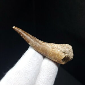 yzyvVITEX///z vVITEX   { bRY 55mm P[Xt v[g Mtg pr111