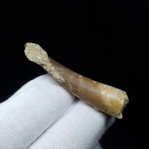 yzyvVITEX///z vVITEX   { bRY 48.75mm P[Xt v[g Mtg pr92