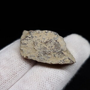 yzyeBmTEX///zeBmTEX   { AJY 26.81mm P[Xt v[g Mtg tb150