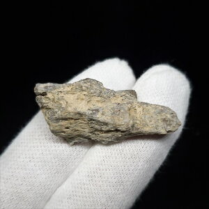 yzyeBmTEX///zeBmTEX   { AJY 36.33mm P[Xt v[g Mtg tb172