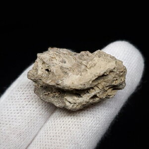 yzyeBmTEX///zeBmTEX   { AJY 28.33mm P[Xt v[g Mtg tb176